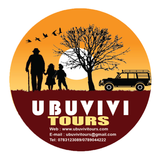 Ubuvivi Tours
